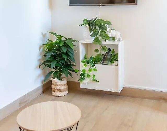 Camarata Flat By Mth Apartment *